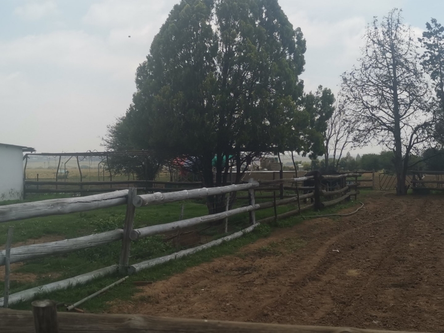 Commercial Property for Sale in Senekal Rural Free State